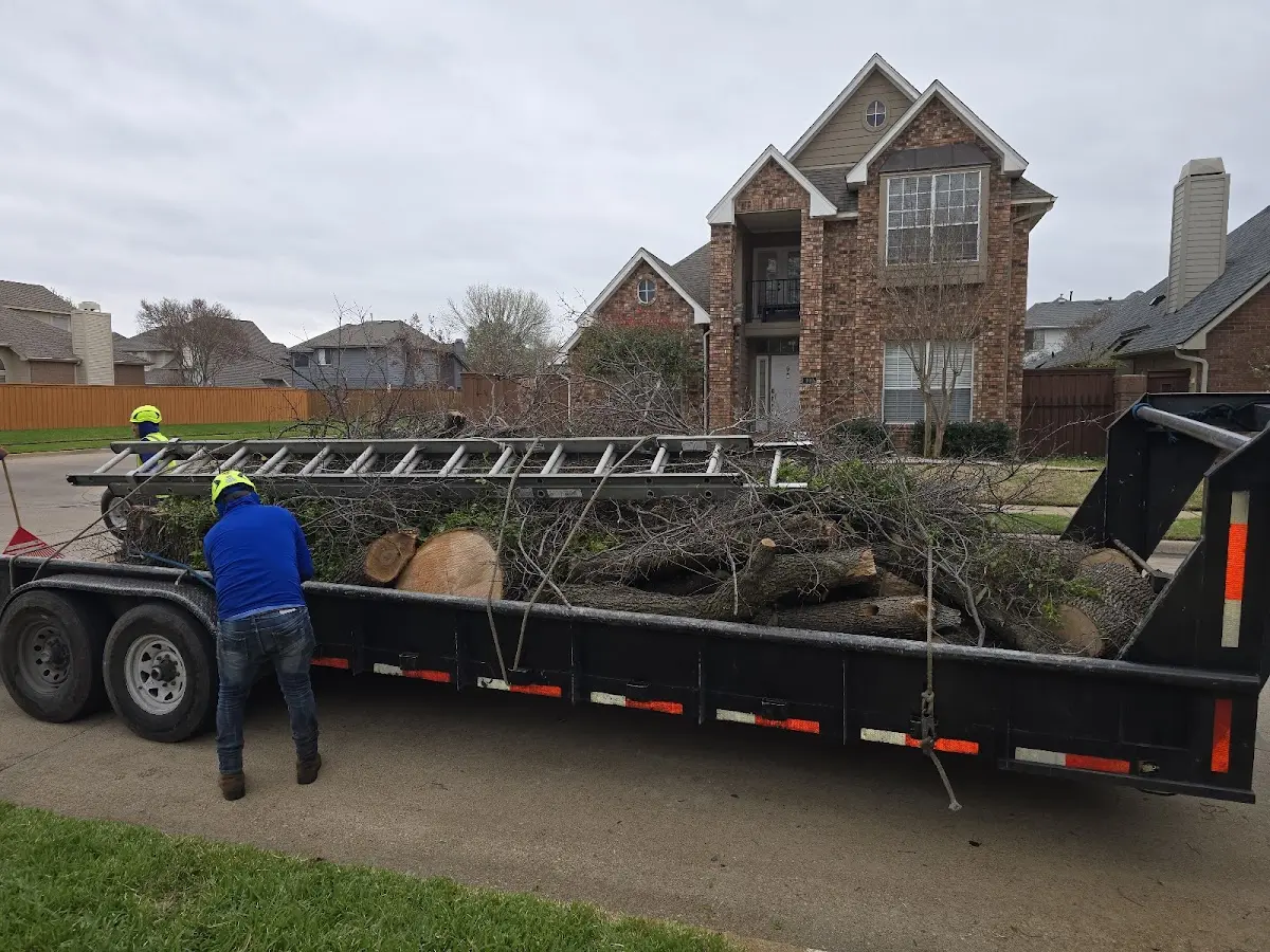 Expert Crown Reduction with proper safety equipment in Brownsburg